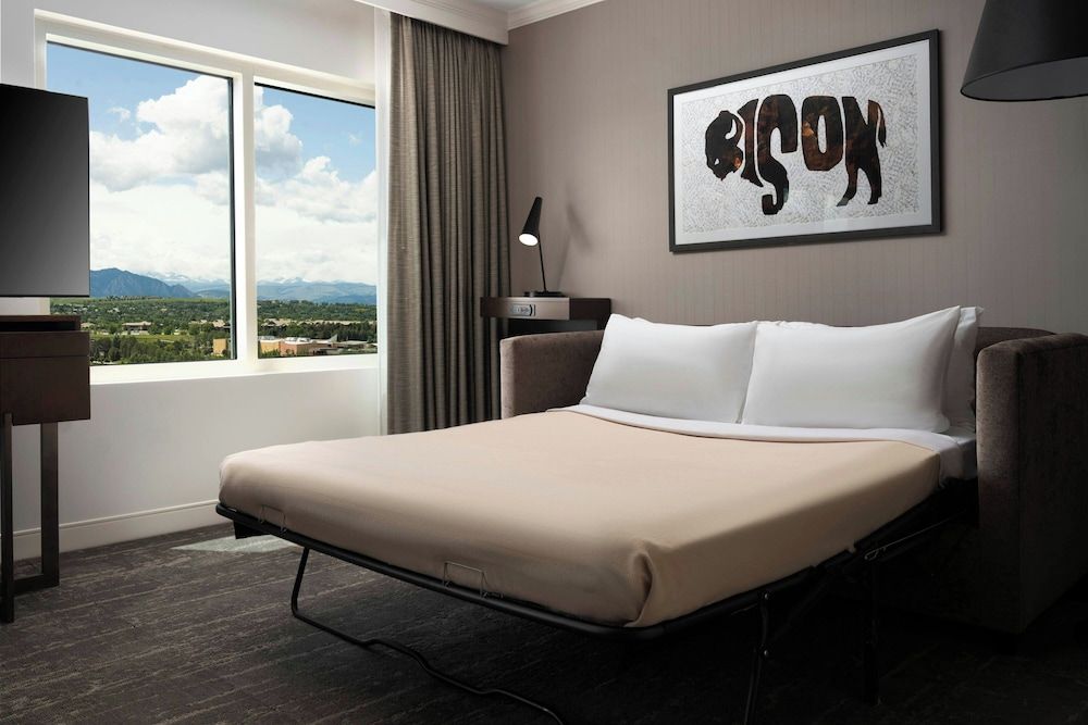 Studio Suite, 1 King Bed with Sofa bed (Mobility/Hearing Access, Roll-In Shwr)