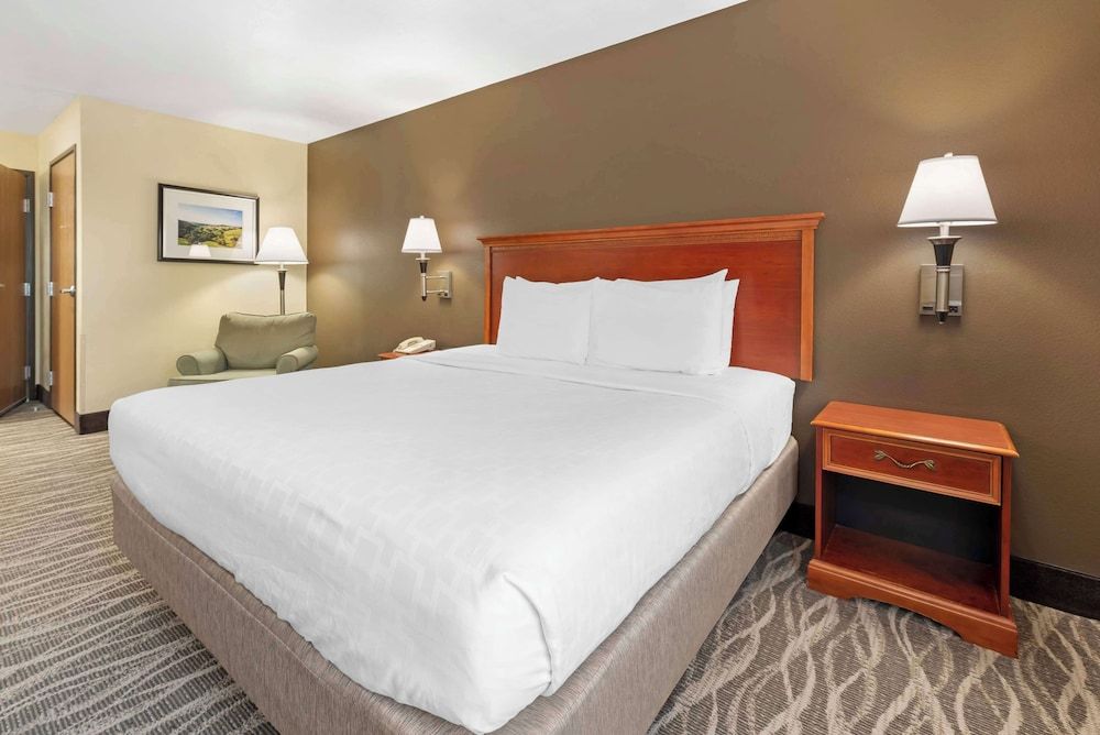 Standard Room, 1 King Bed, Non Smoking, Refrigerator & Microwave