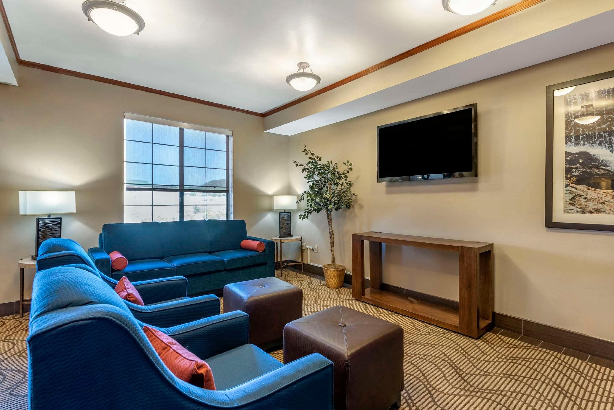 One Room Suite with Whirlpool - Non Smoking/Pet Friendly