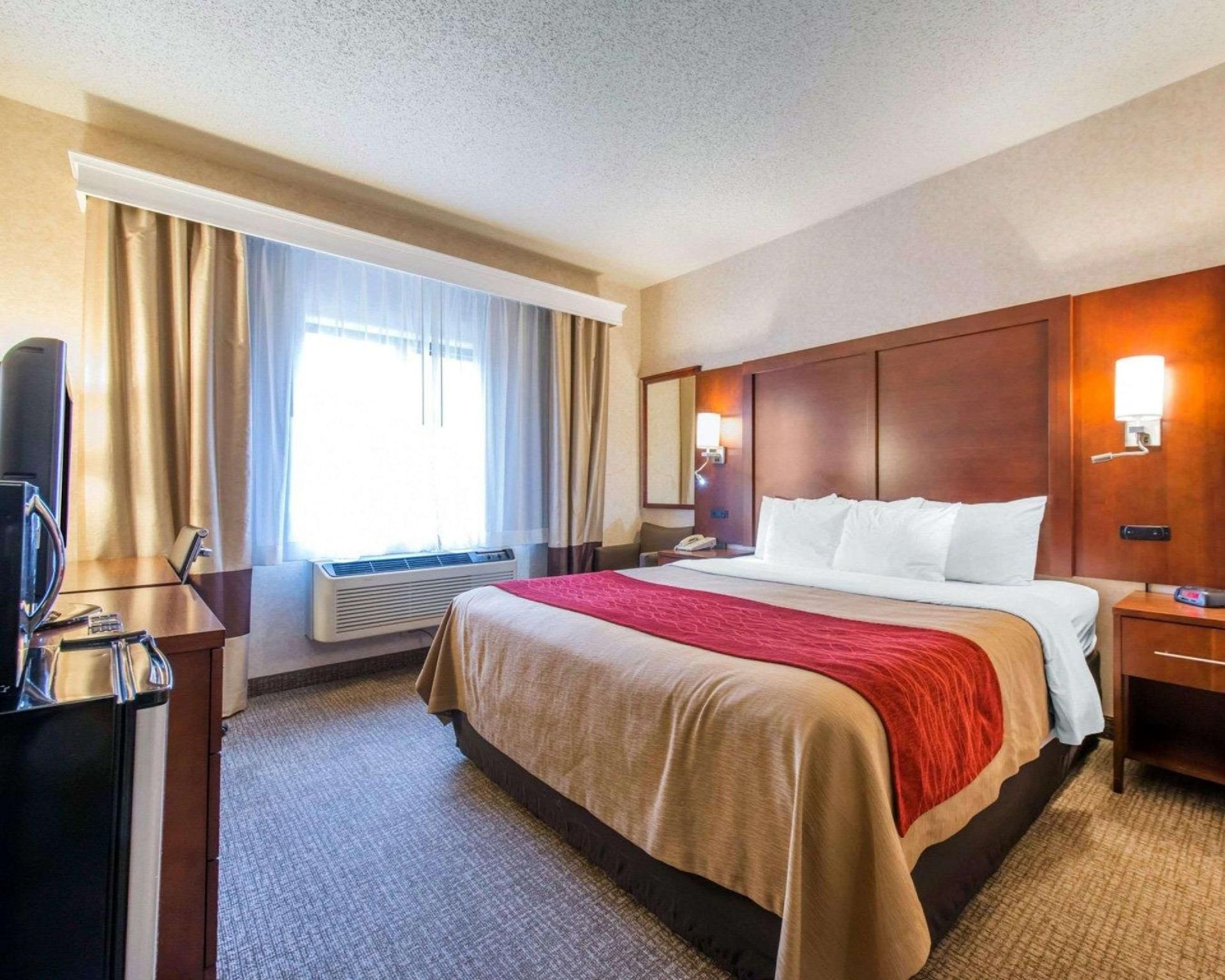1 King Bed, Nonsmoking, Accessible