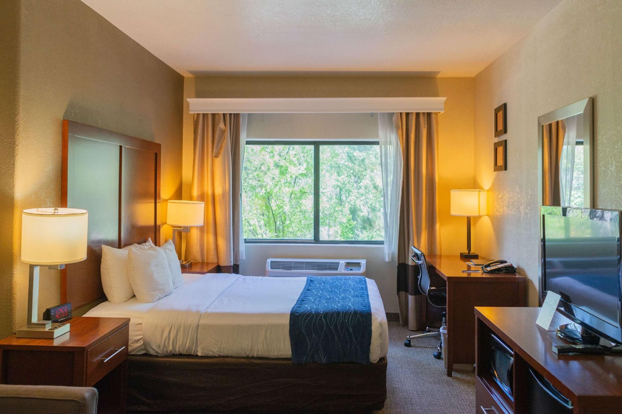 1 Queen Bed, Suite, Nonsmoking, Upgrade
