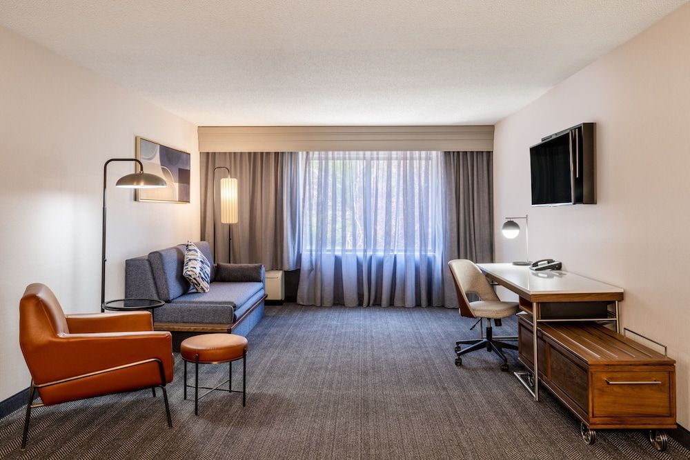 Room, 1 King Bed with Sofa bed (Mobility Accessible, Tub)