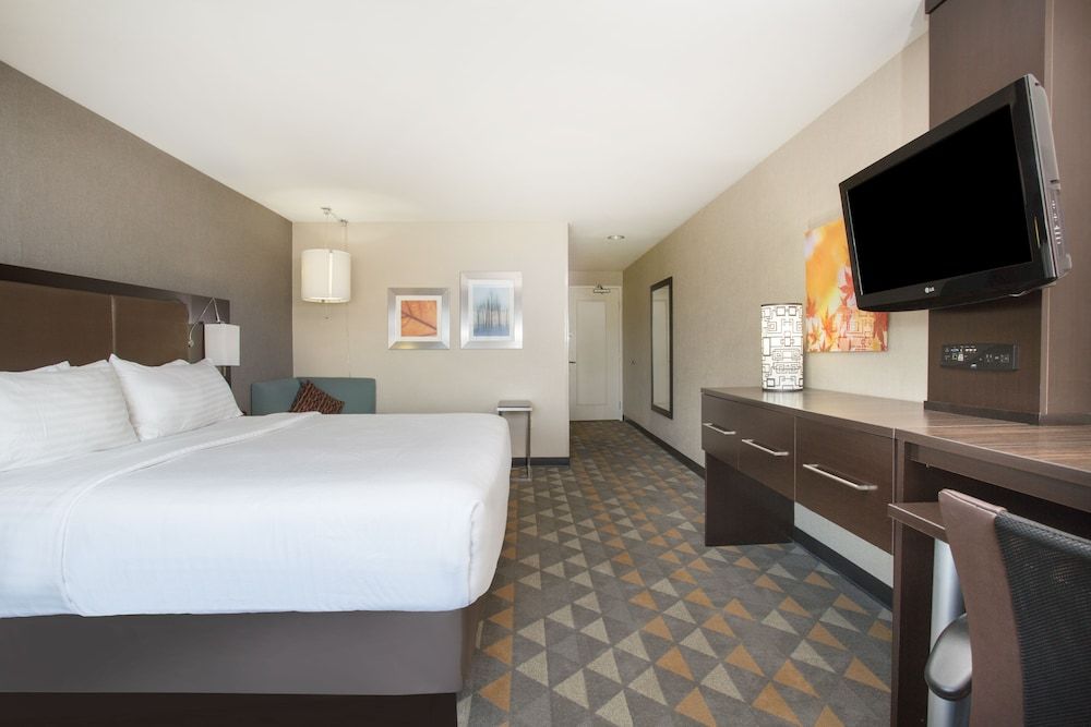 Standard Room, 1 King Bed, Mountain View