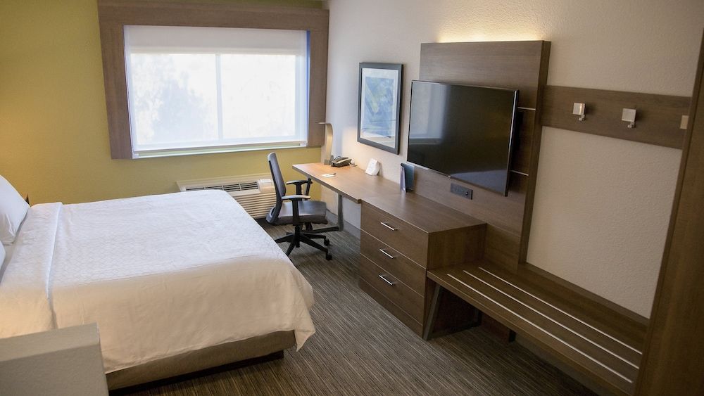Suite, 1 King Bed with Sofa bed