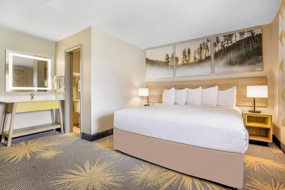 Room, 1 King Bed, Smoking