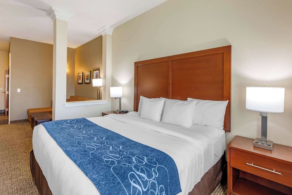 Suite, 1 King Bed with Sofa bed, Accessible, Non Smoking