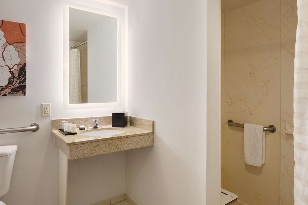 Embassy Suites by Hilton Denver International Airport Suite, 1 King Bed, Accessible, Bathtub 8