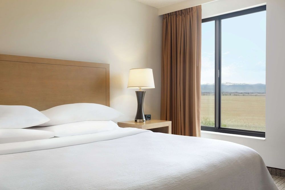 Embassy Suites by Hilton Denver International Airport Suite, 1 King Bed, Accessible, Bathtub 4