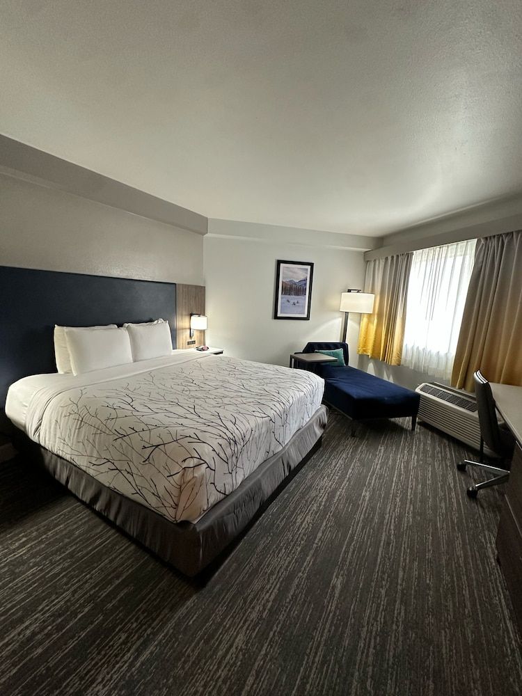 Standard Room, 1 King Bed, Non Smoking, Refrigerator & Microwave (Shower Only)