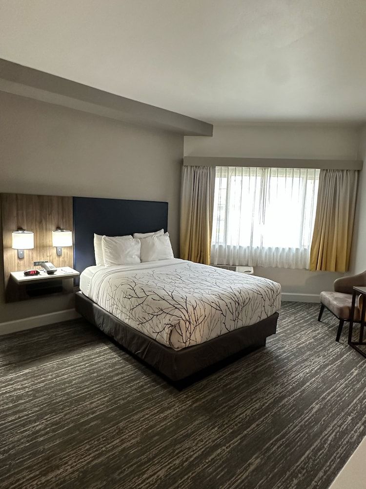 Standard Room, 1 King Bed, Non Smoking, Kitchenette (Shower Only)