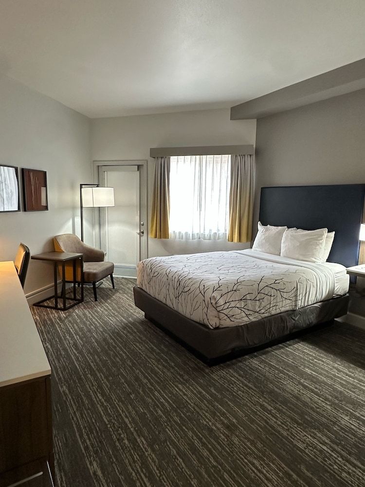 undefined Best Western Premier Denver East 3