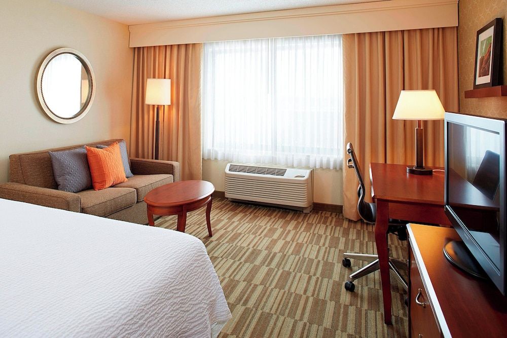 Room, 1 King Bed with Sofa bed