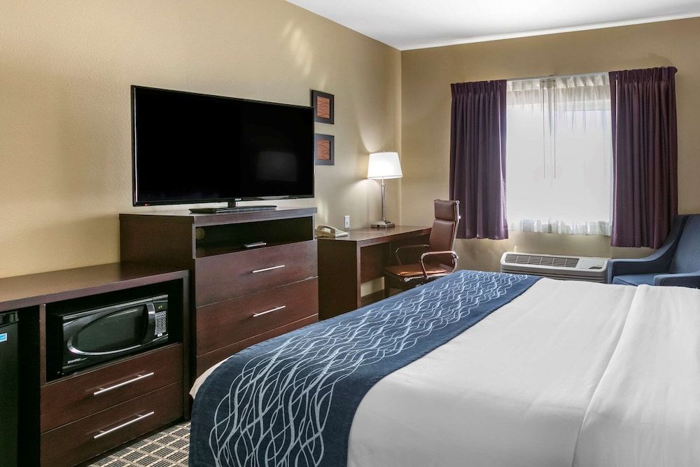 Business Room, 1 King Bed, Refrigerator & Microwave, Mountain View