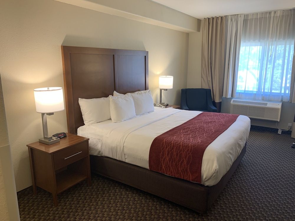 Standard Room, 1 King Bed
