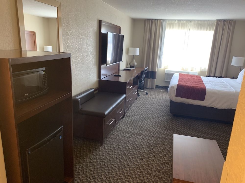 Suite, 1 King Bed with Sofa bed, Non Smoking (2 Person Sofa Bed)