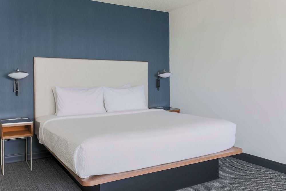Room, 1 King Bed with Sofa bed (Hearing Accessible)