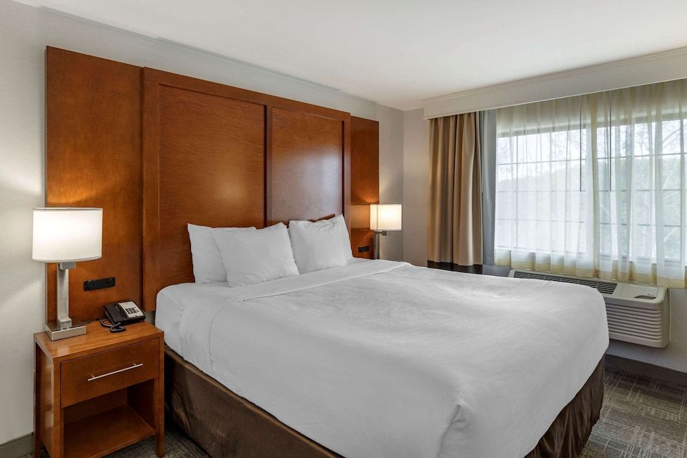 Suite, 1 King Bed with Sofa bed, Non Smoking, Balcony
