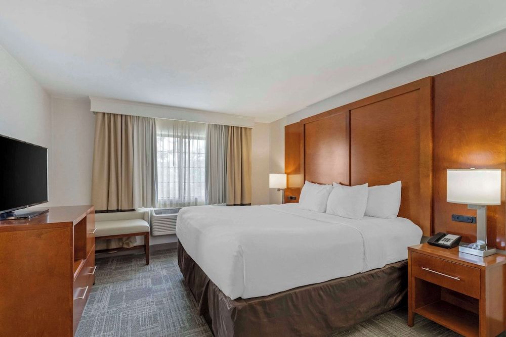 Suite, 1 King Bed with Sofa bed, Non Smoking