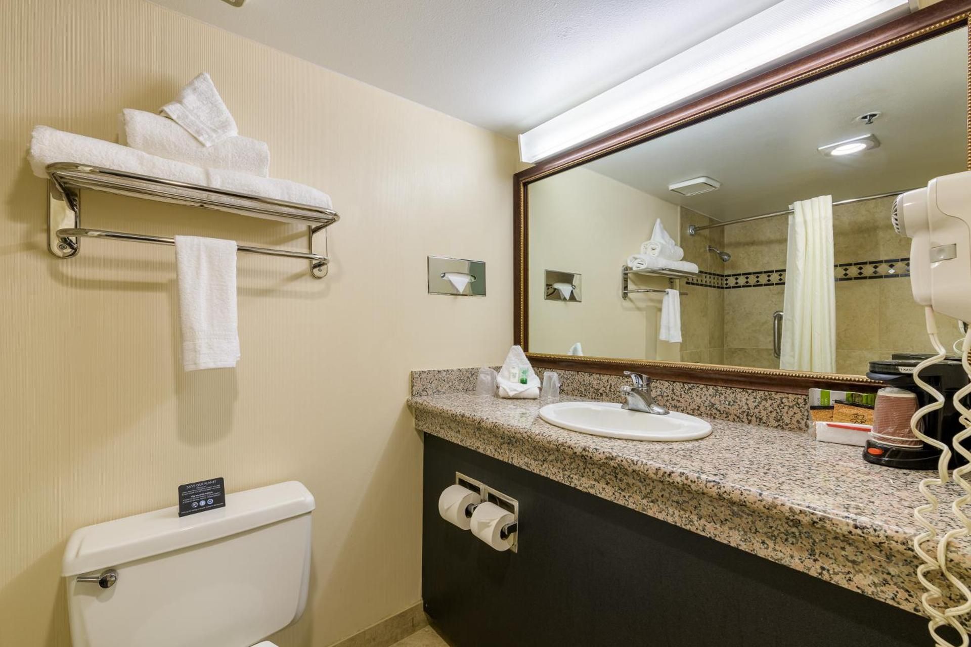 Standard room with 1 king bed