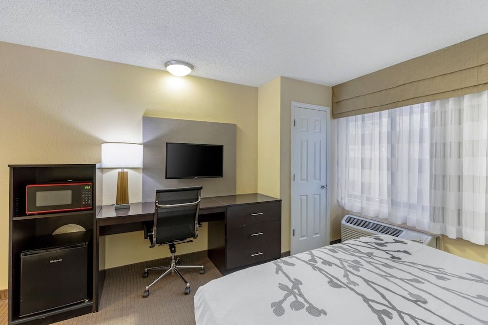 Room, 1 Queen Bed, Accessible, Non Smoking (Roll-In Shower)
