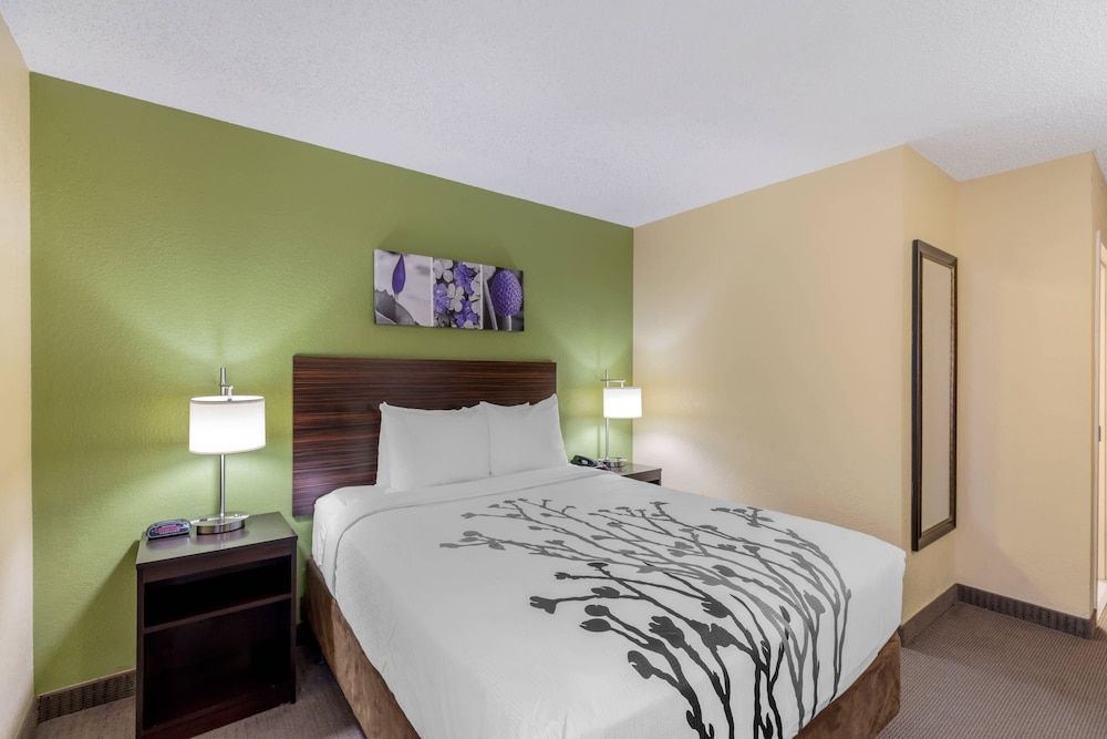 Room, 1 Queen Bed, Accessible, Non Smoking (Roll-In Shower)