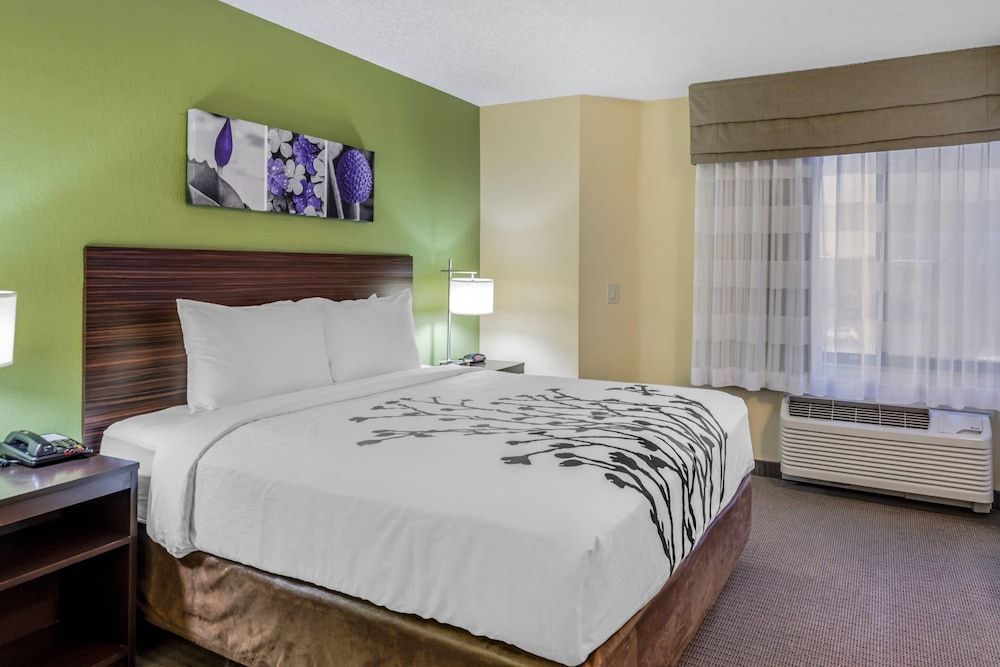 Standard Room, 1 King Bed, Non Smoking