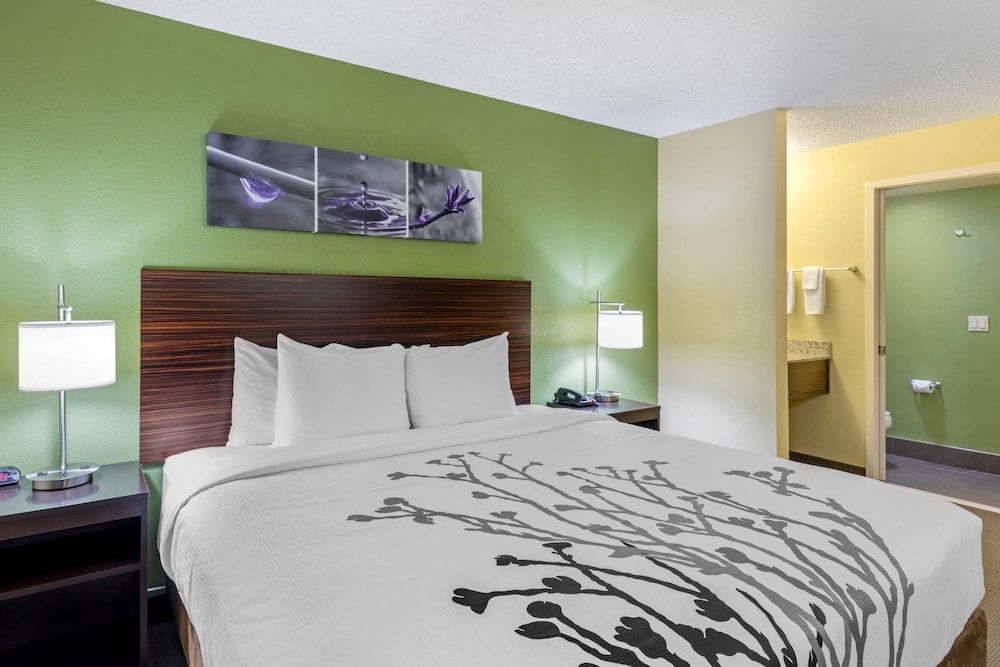 Standard Room, 1 King Bed, Non Smoking