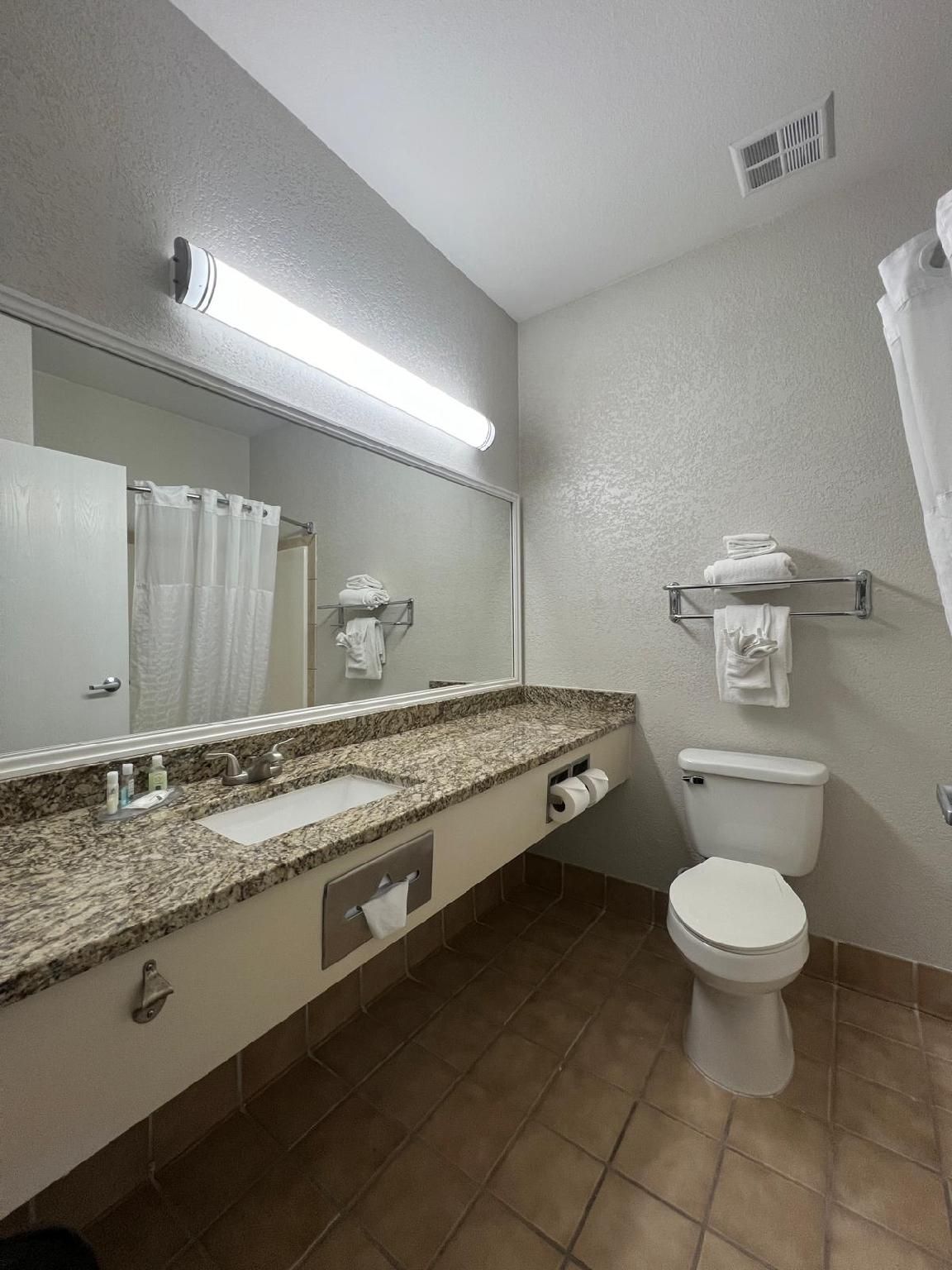 1 King Bed, Suite, Nonsmoking