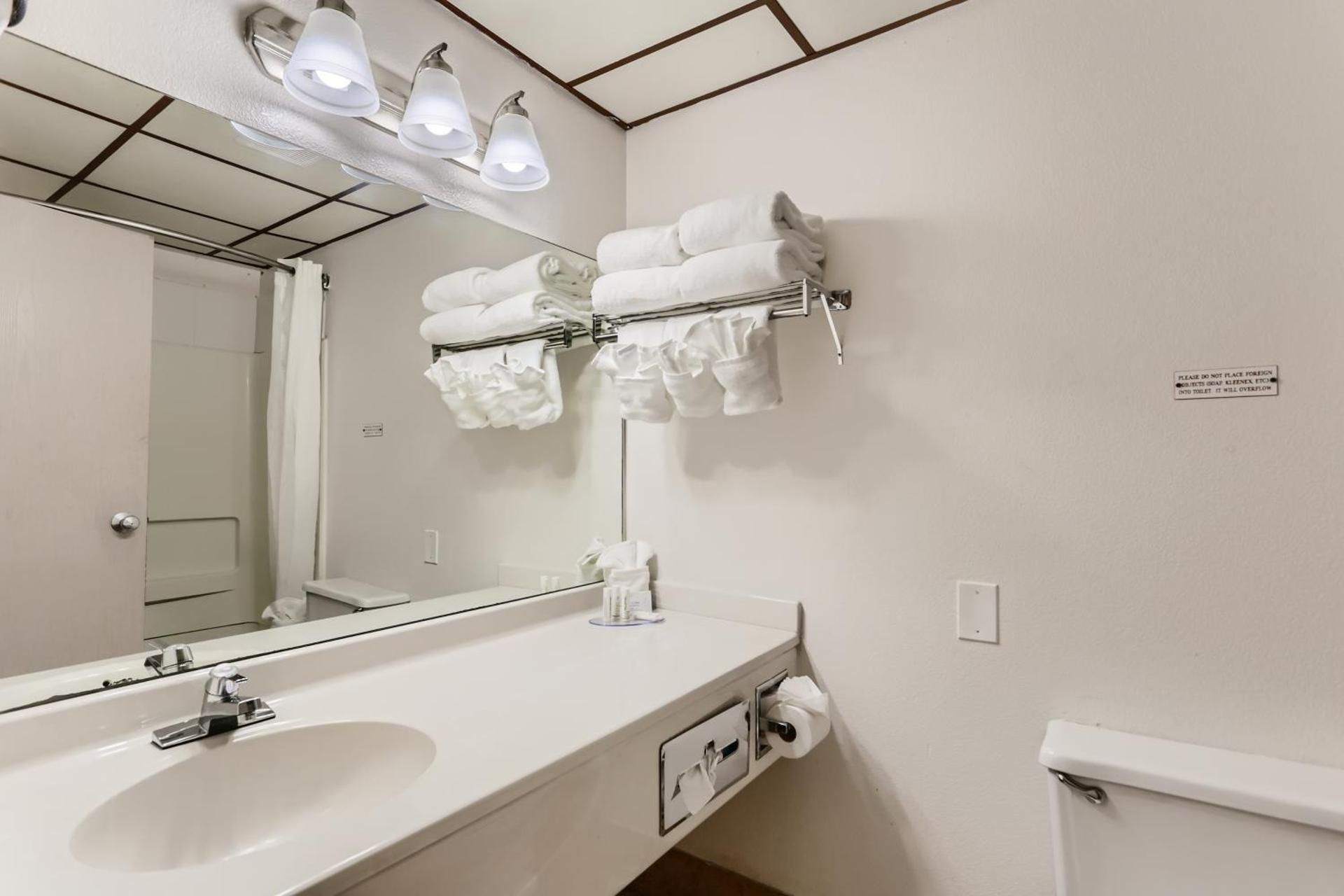 1 Queen Bed, Mobility/Hearing Accessible Room, Roll-In Shower, Non-Smoking