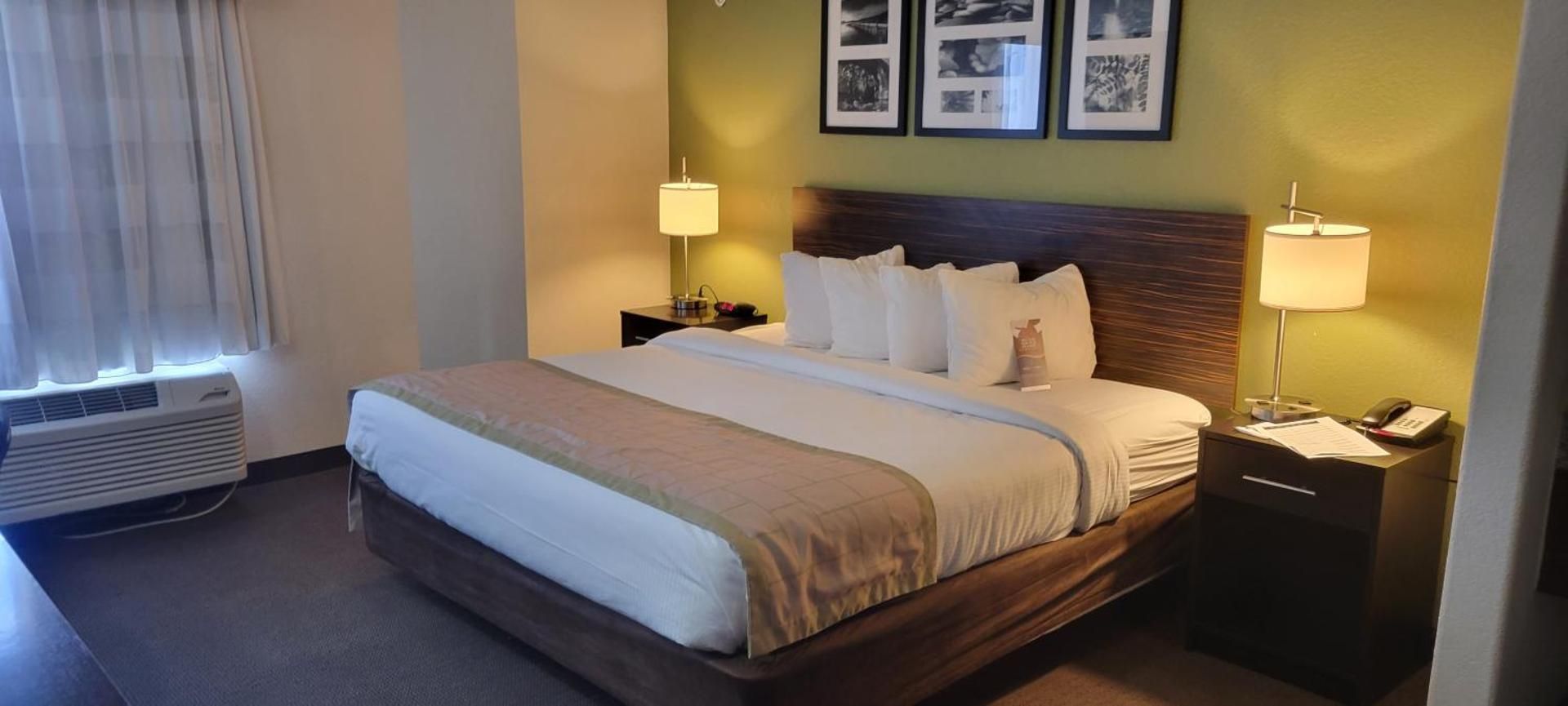 1 King Bed Non-Smoking