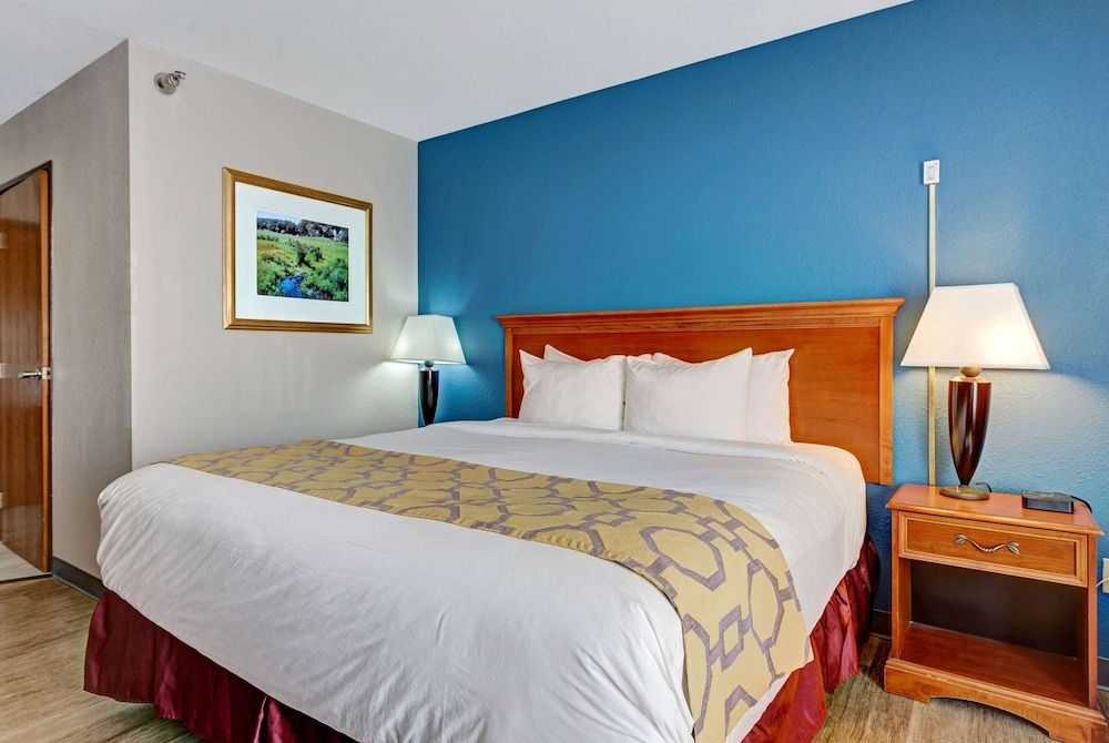 Room, 1 King Bed, Accessible, Non Smoking