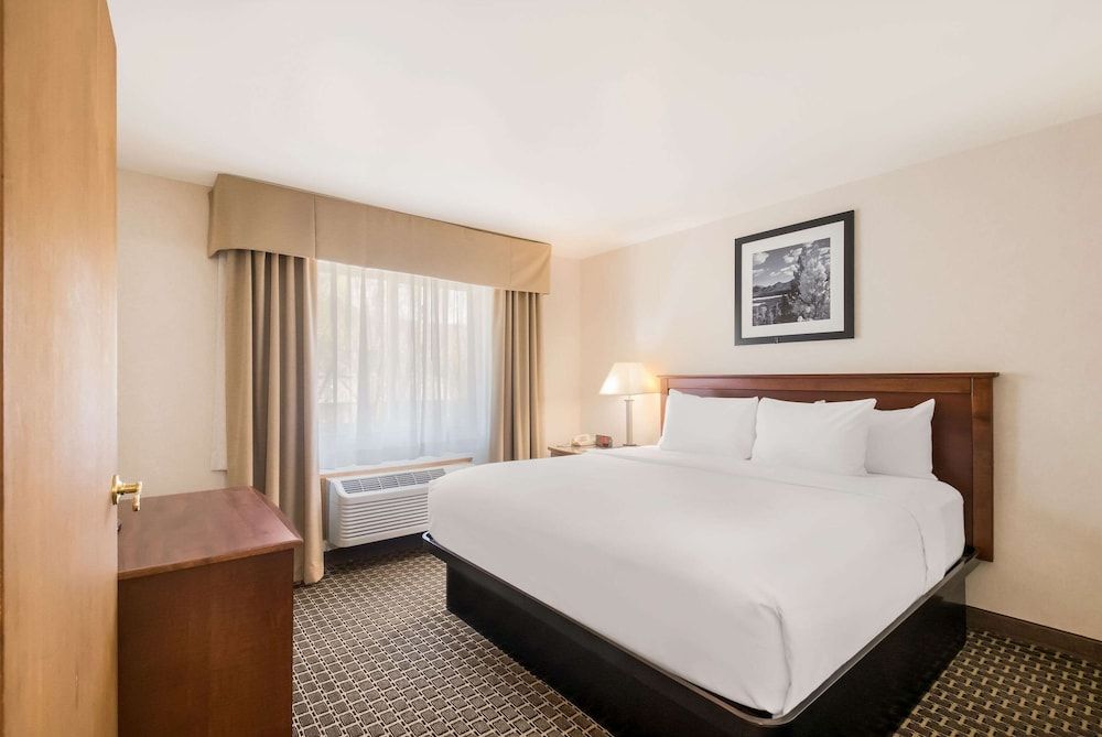 Room, 1 King Bed, Accessible, Non Smoking