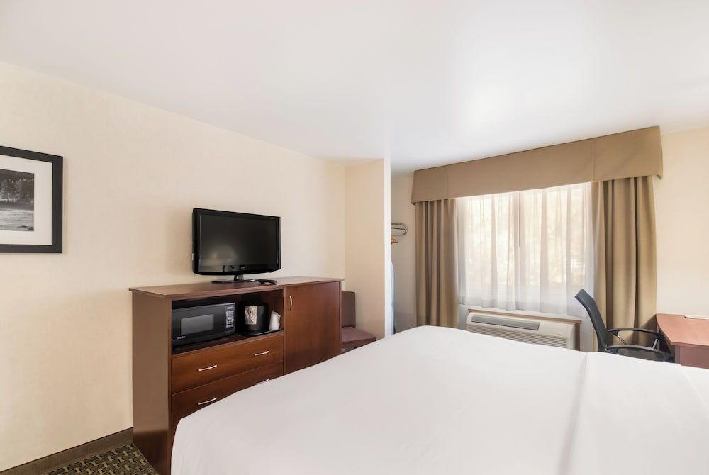 Room, 1 King Bed, Accessible, Non Smoking
