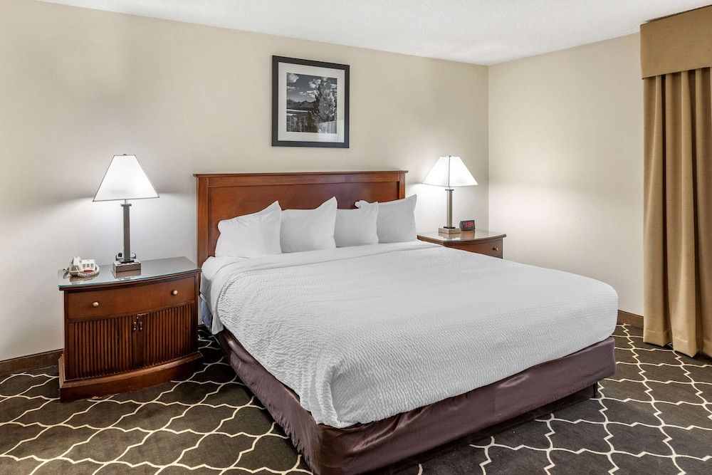 Room, 1 King Bed, Non Smoking, Jetted Tub