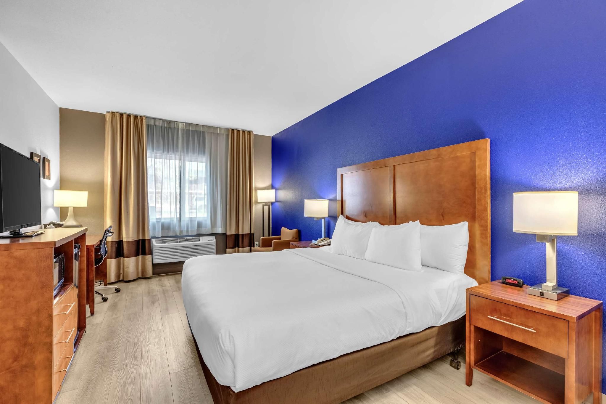 1 King Bed, Non-Smoking