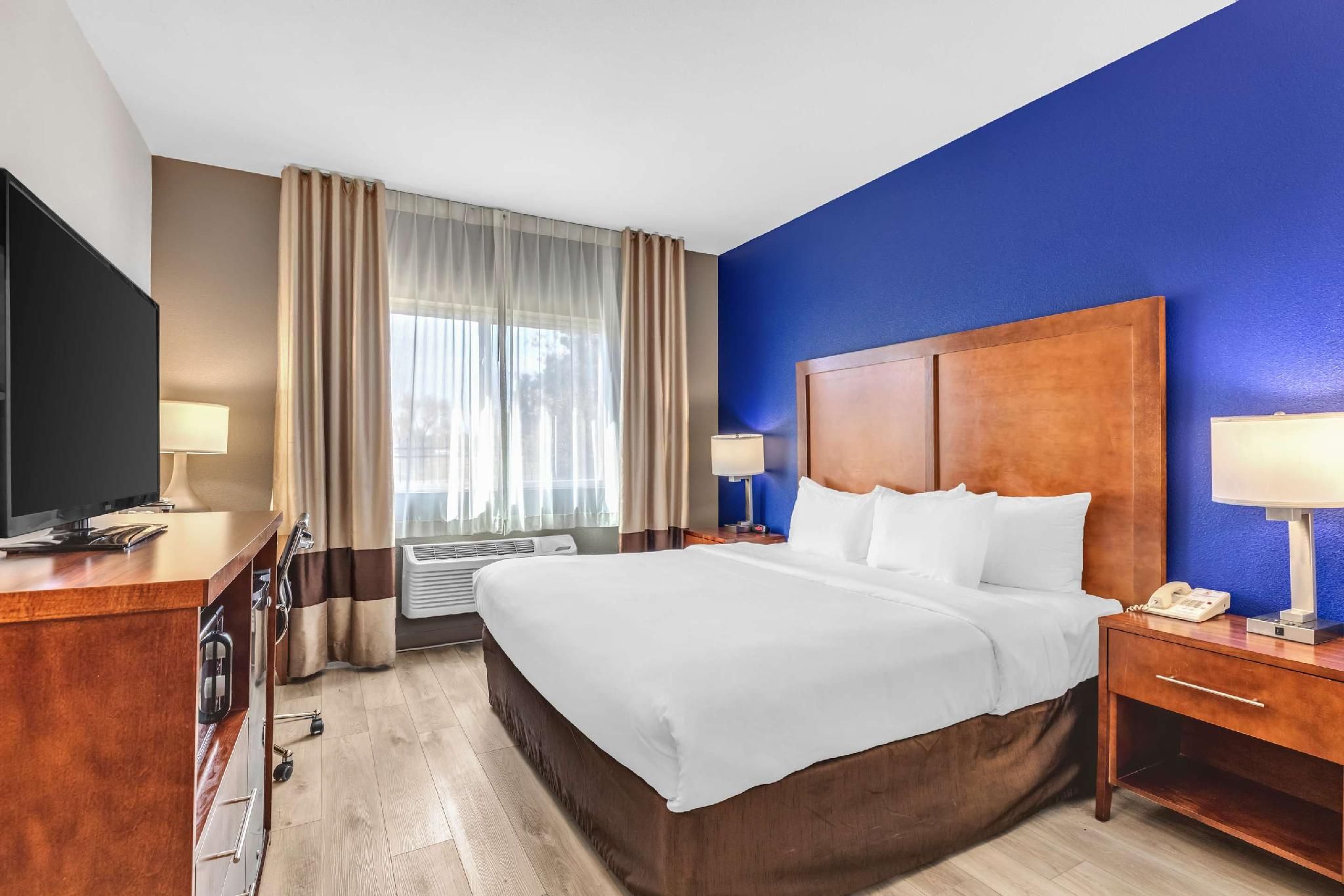 1 King Bed, No Smoking Accessible