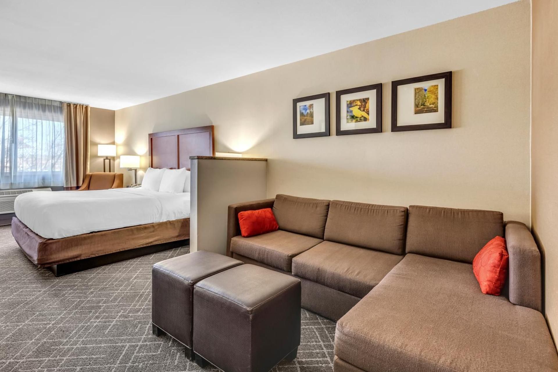 1 King Bed, Suite, Nonsmoking, Accessible