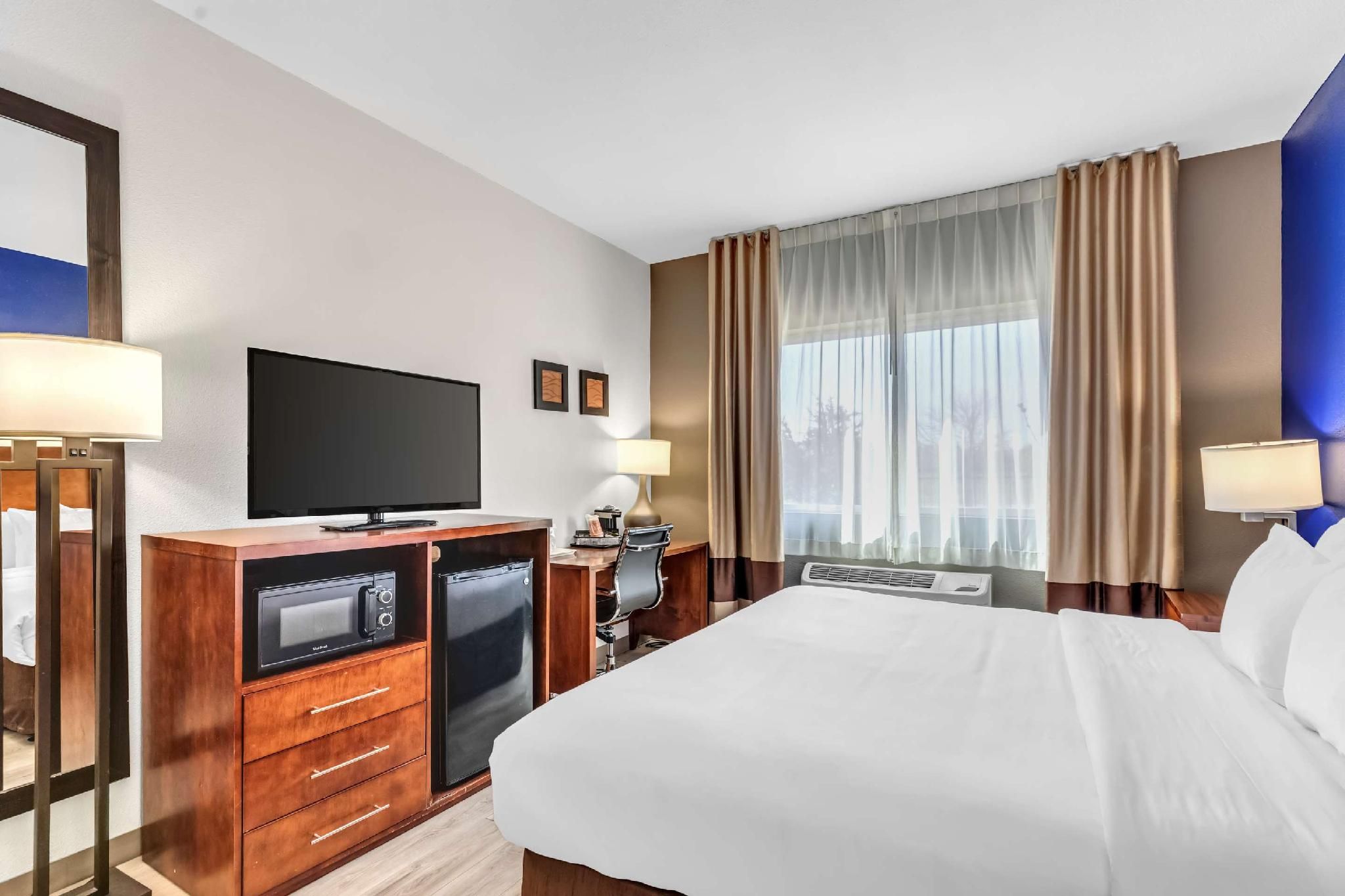 1 King Bed, No Smoking Accessible