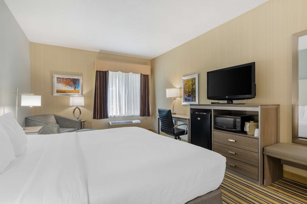 Standard Room, 1 King Bed, Non Smoking, Microwave