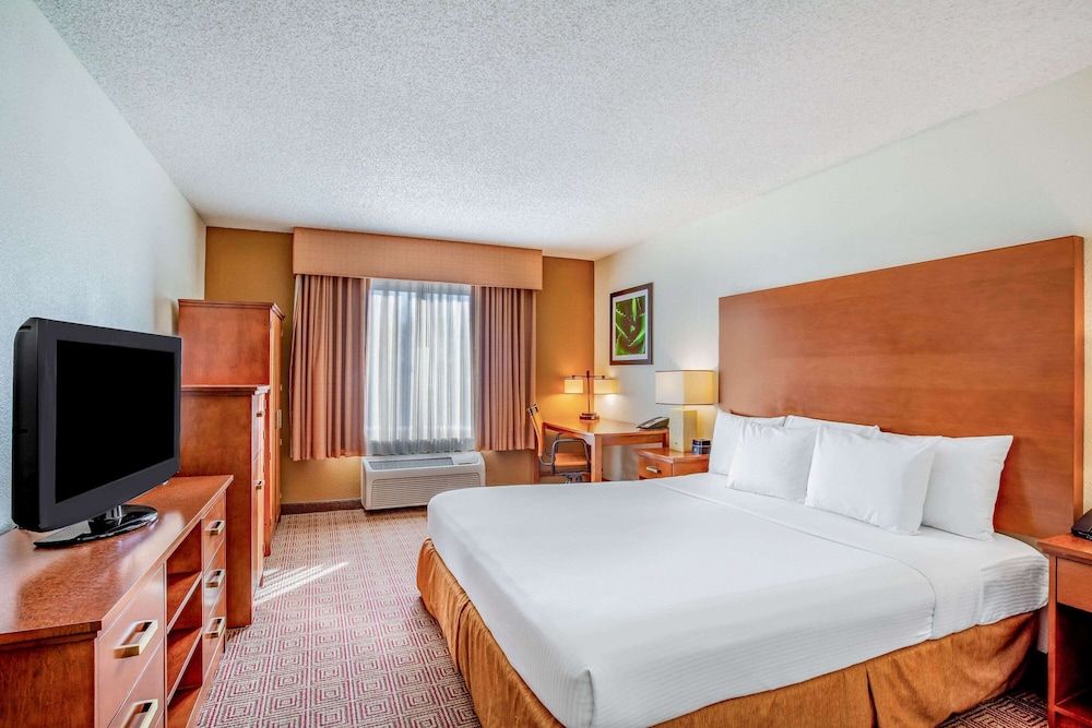 Room, 1 King Bed, Non Smoking