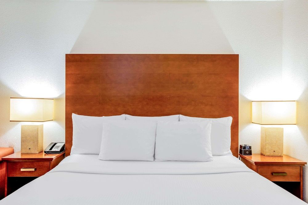 Room, 1 King Bed, Non Smoking