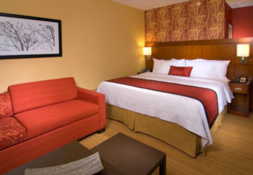 Room, 1 King Bed with Sofa bed, Non Smoking