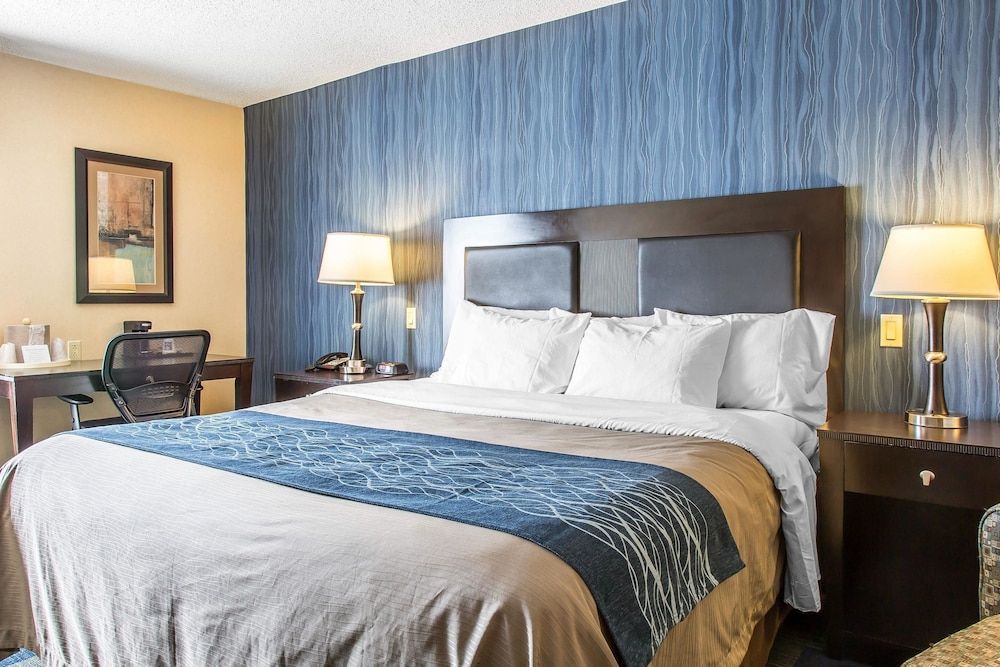 Room, 1 King Bed, Accessible, Non Smoking
