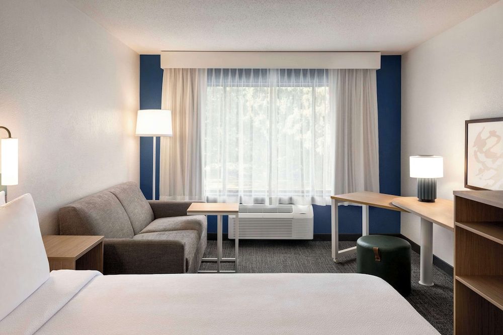 Room, 1 King Bed with Sofa bed