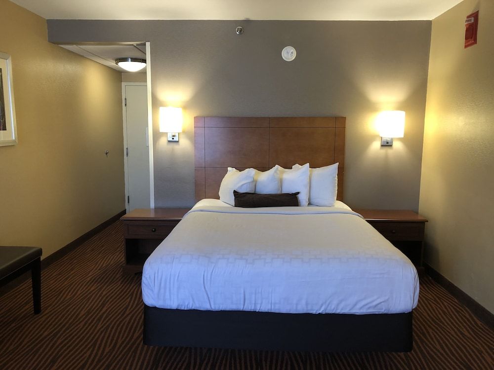 Standard Room, 1 Queen Bed, Non Smoking, Microwave