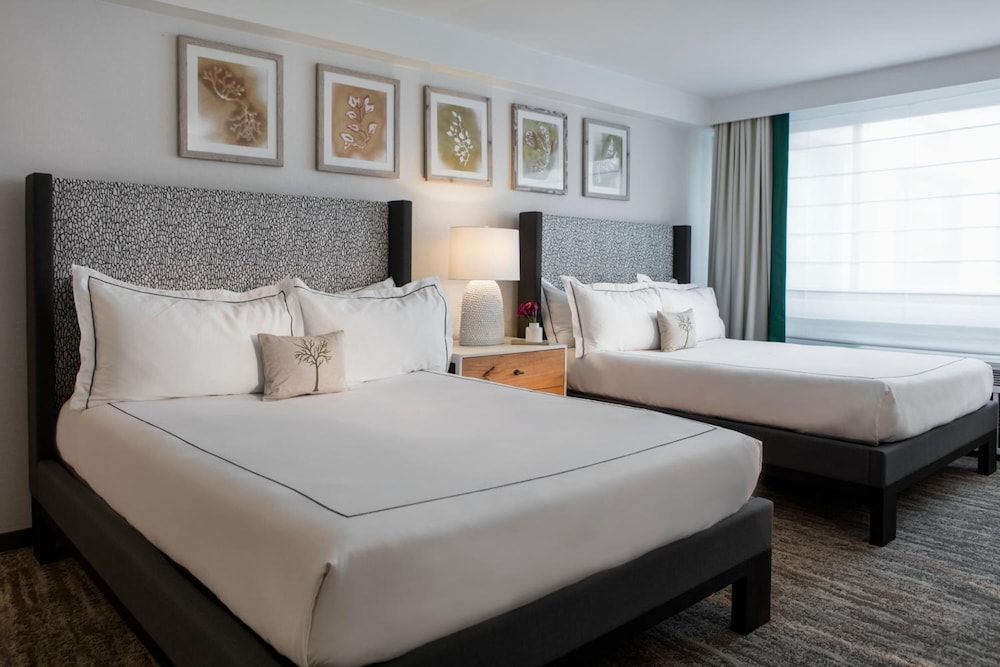 Glover Park - Georgetown Room, 2 Queen Beds 3