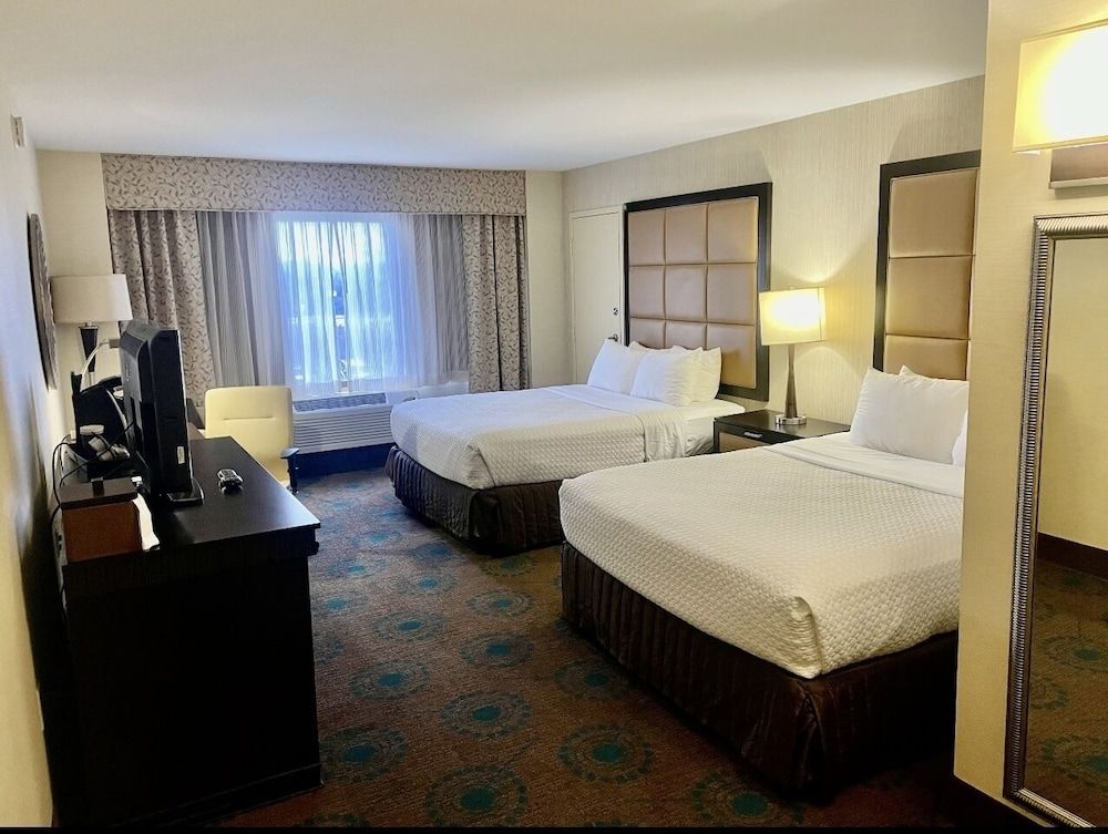 Comfort Single Room, 2 Queen Beds, Non Smoking, City View
