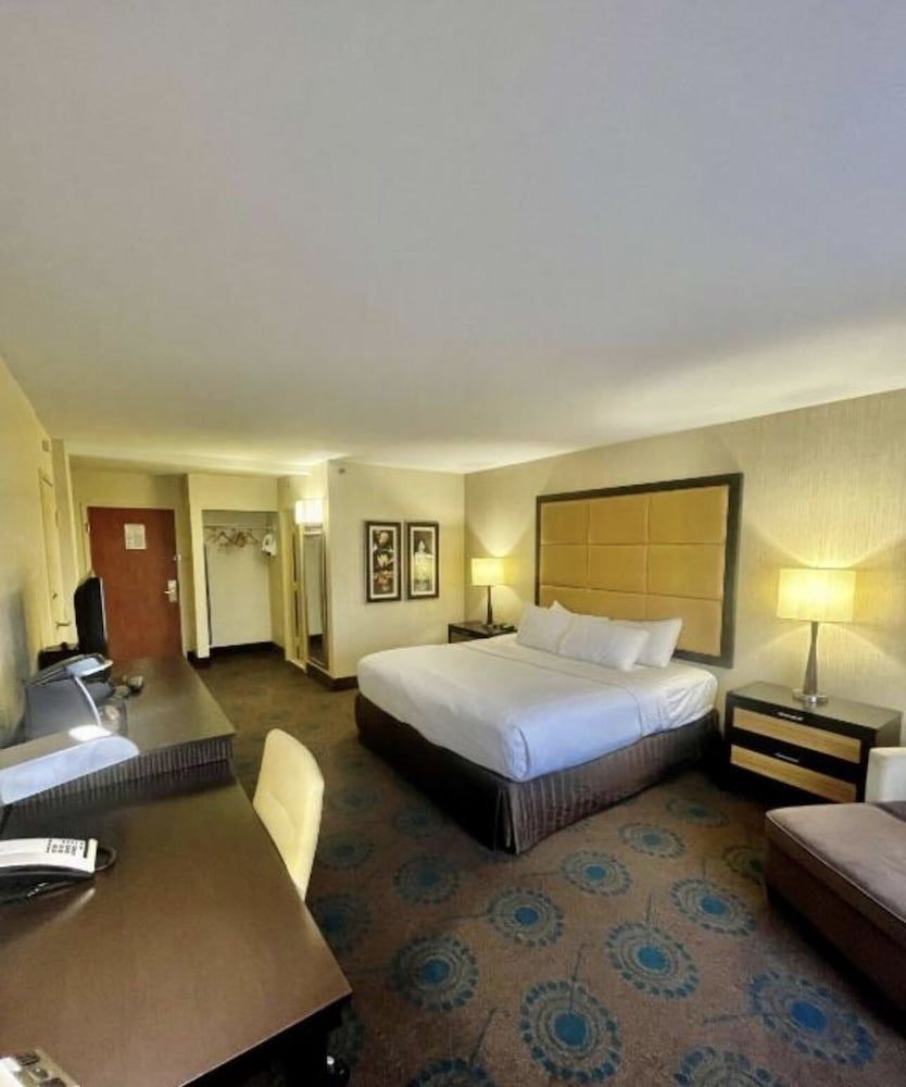 Senior Single Room, 1 King Bed, Non Smoking, City View