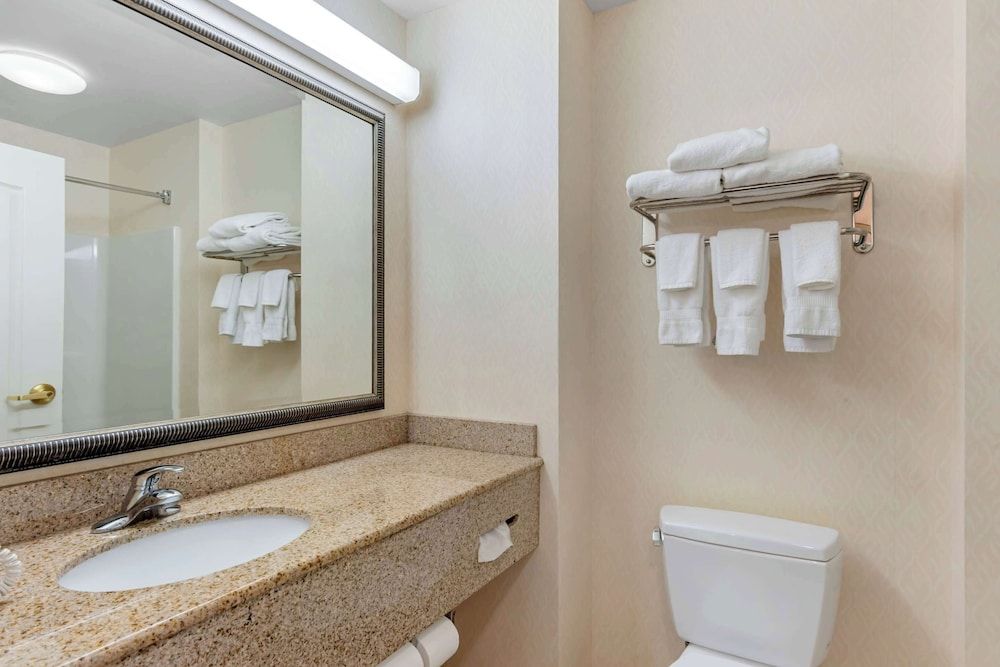 Suite, 1 King Bed with Sofa bed, Non Smoking (2 Person Sofa Bed)