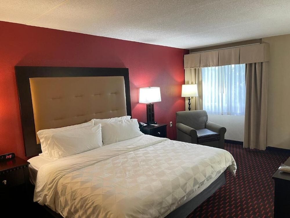 Wyndham Garden Dover Room, 1 King Bed, Non Smoking 2